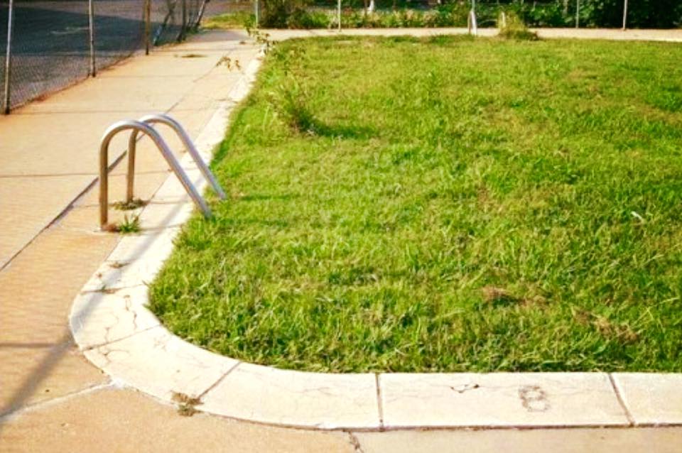 grass filled pool