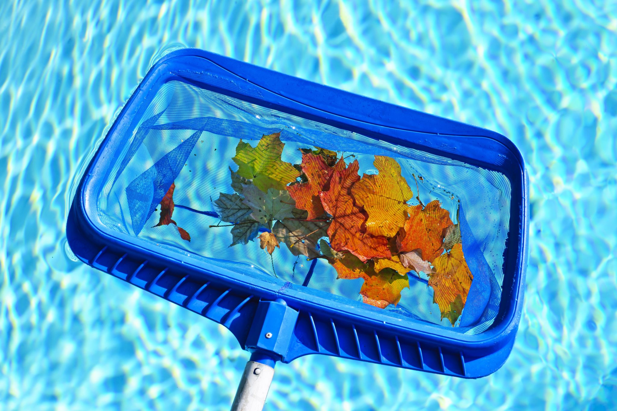 Pool Maintenance & Repair Pool Cleaning Services in TriCities